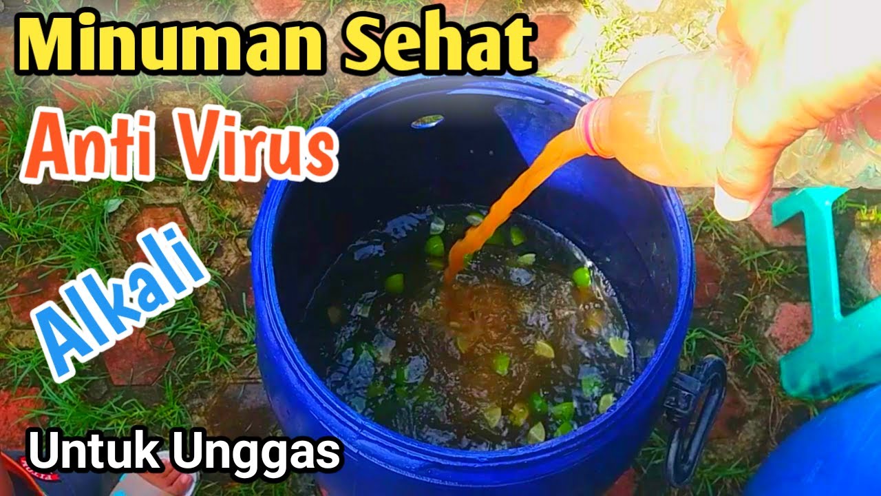 Cara Membuat Air Alkali