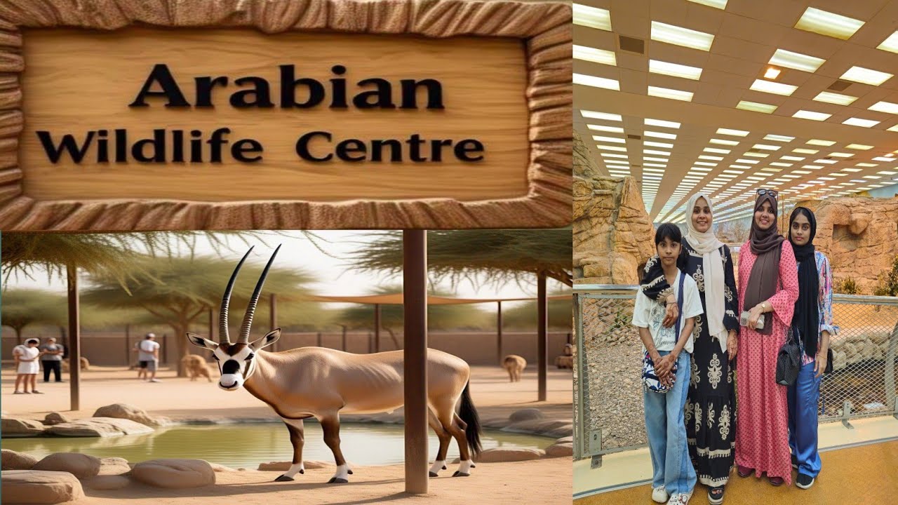Arabian wildlife centre sharjah | Sharjah Desert park | sheri's world of taste and talents