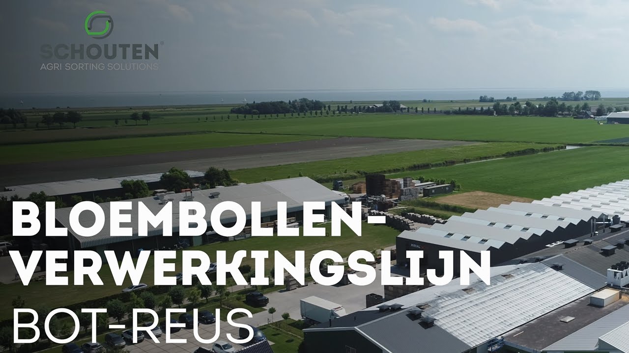 Schouten Bloembollenverwerkingslijn - Mirial Tulips