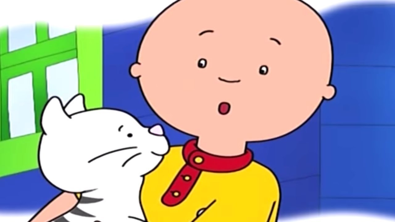Caillou Türkçe HD -  Caillou ve Yeni Kedi | kayu cizgi filmi| çizgi filmleri çocuklar içi
