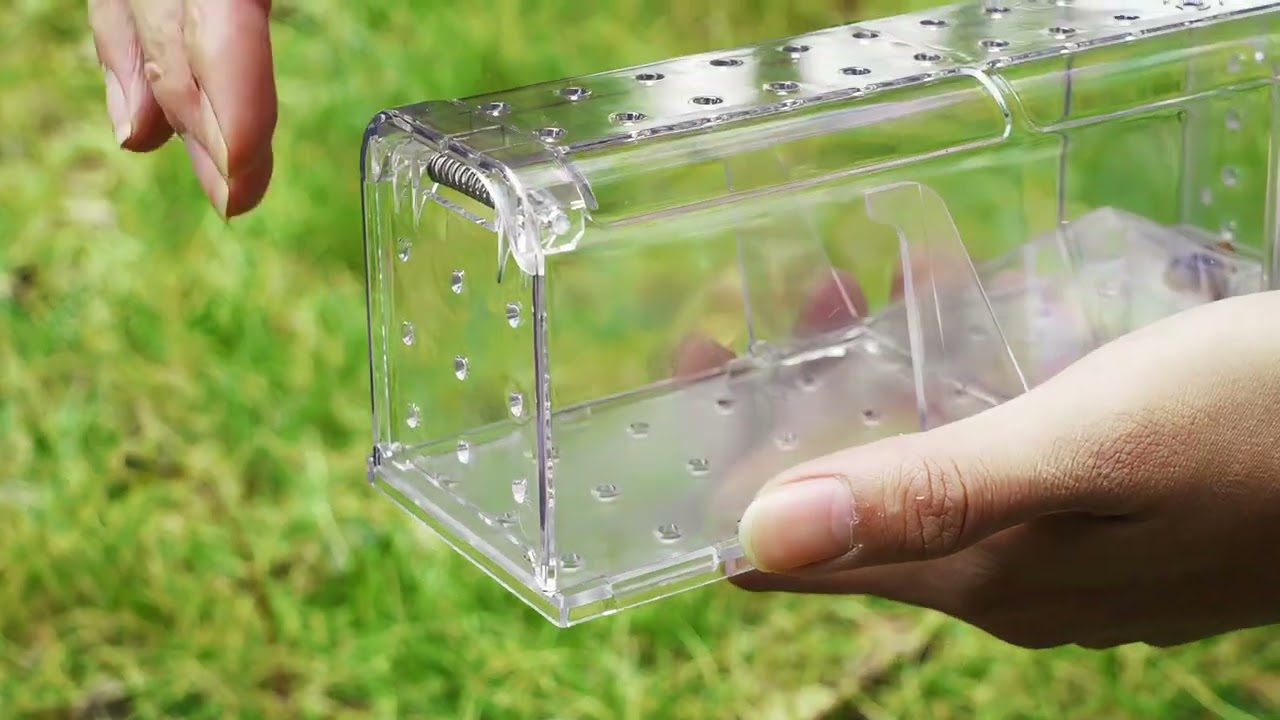 Diervriendelijke Muizenval   Muizenvallen   Rattenval   Mouse Trap   Inclusief Schoonmaakborst