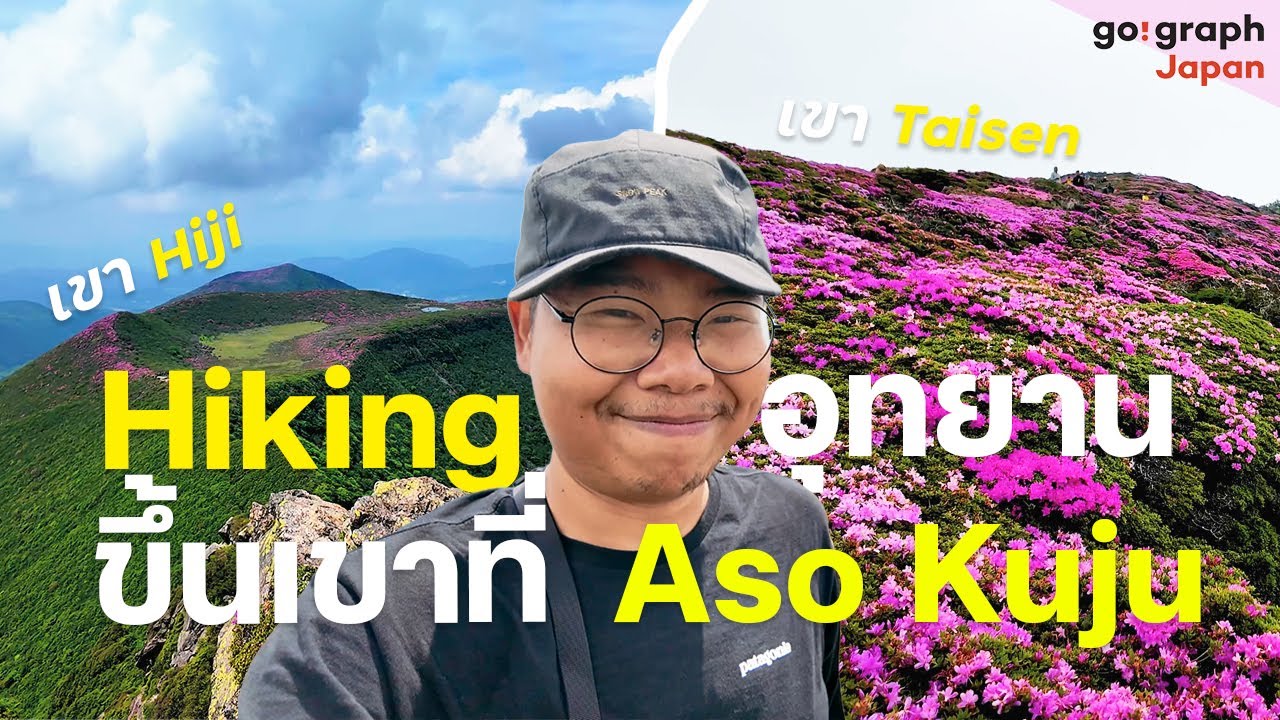 Aso-Kuju Oita เดินไต่เขาชมทุ่งดอกไม้สีชมพู หนึ่งในจุดเดินเขาชมดอกไม้สวยที่สุดของคิวชู ญี่ปุ่น