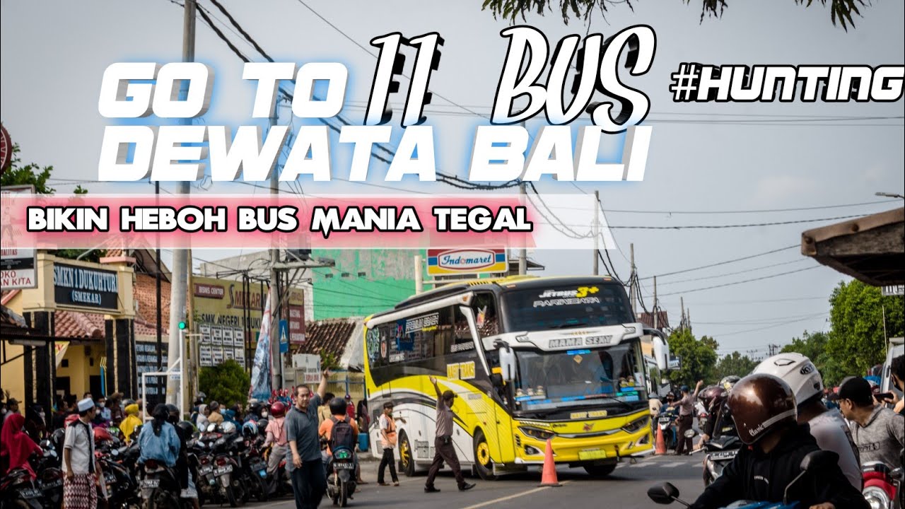 [ bikin heboh bus mania tegal ! ] 11 bus nafit trans go to Bali | bersama SMK negeri dukuh turi
