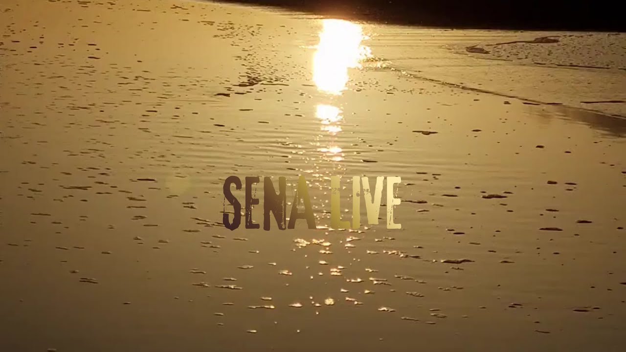 Welcome to SENA