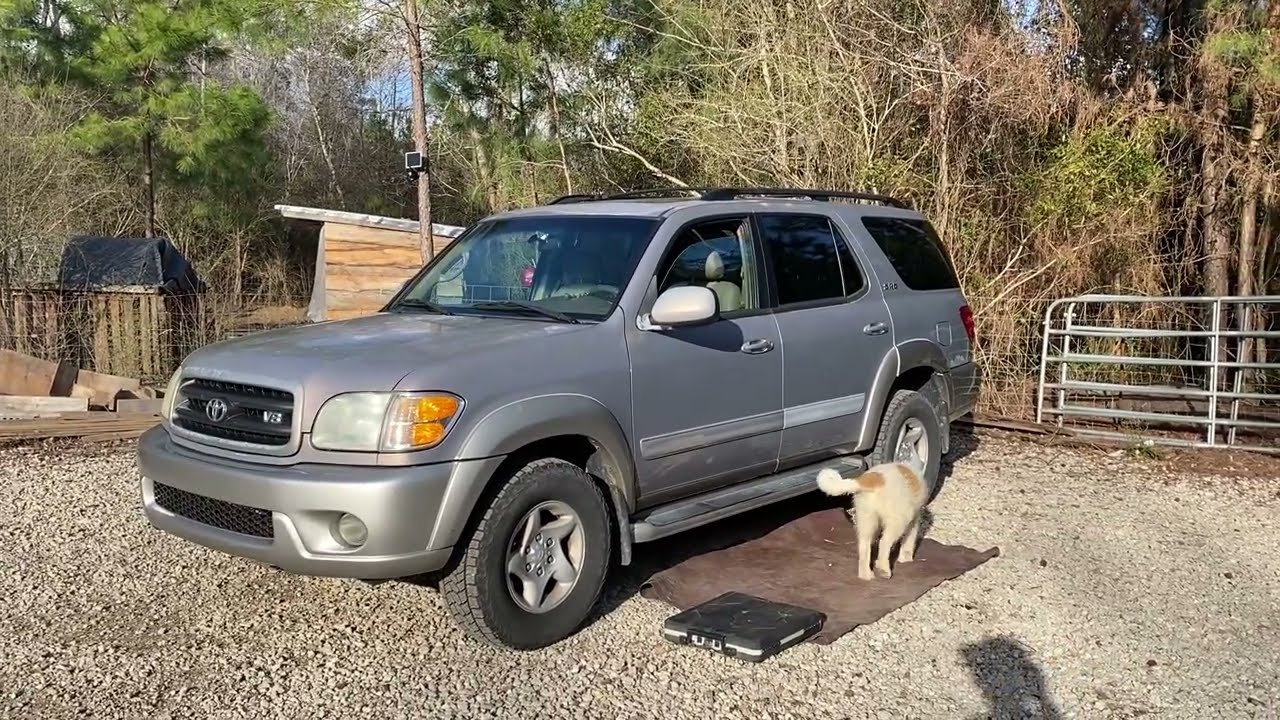 2002 TOYOTA Sequoia 
