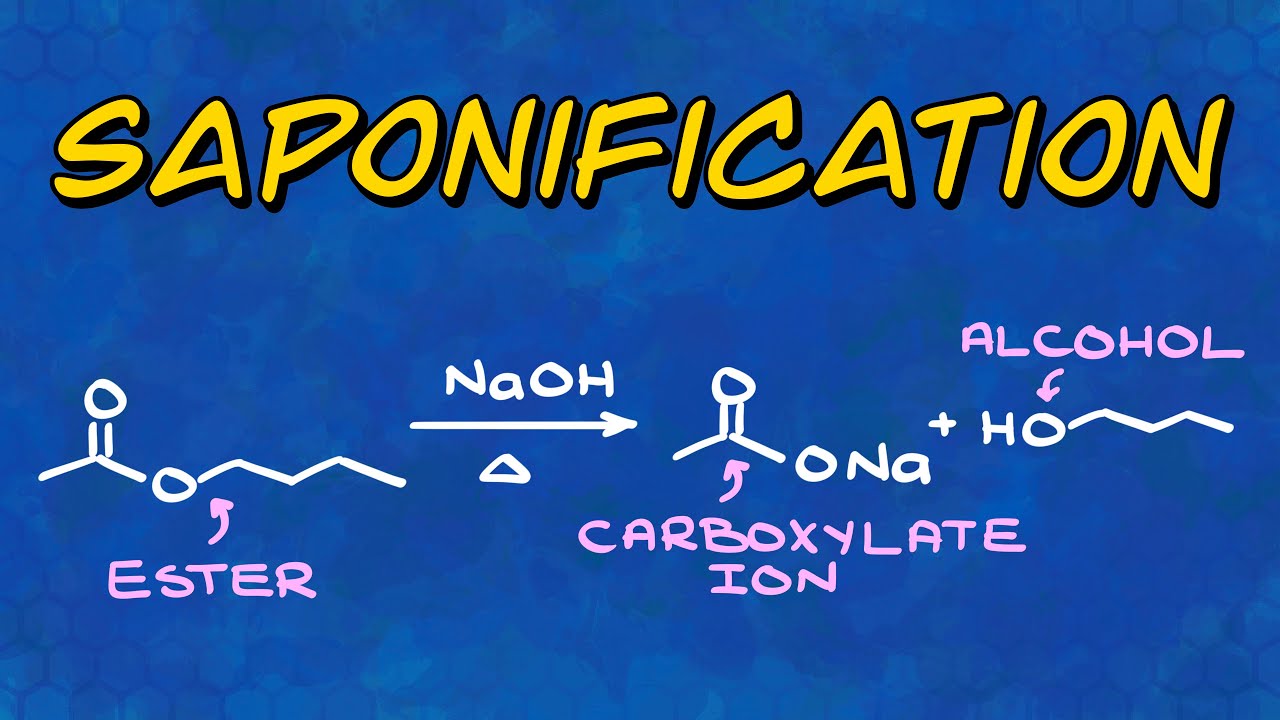 Saponification Reaction of Esters