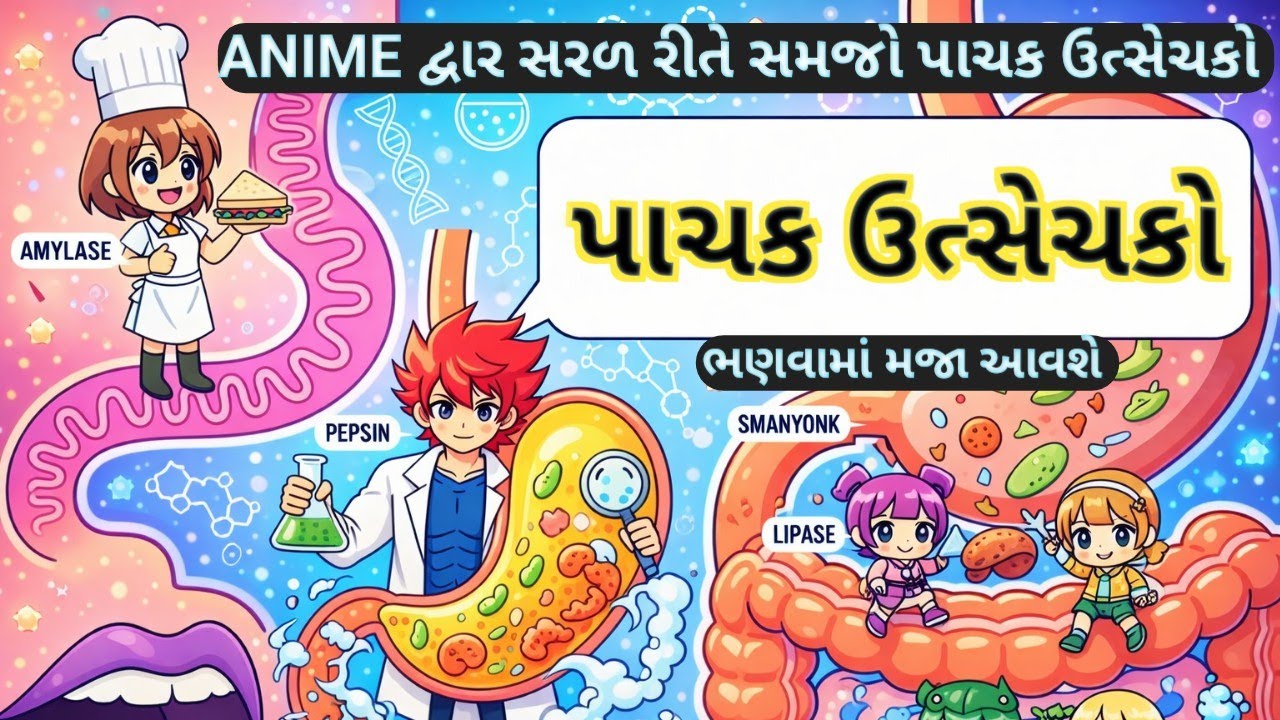 Human digestive system in gujarati /પાચન પ્રક્રિયા | Digestive Enzymes Explained in Anime Gujarati