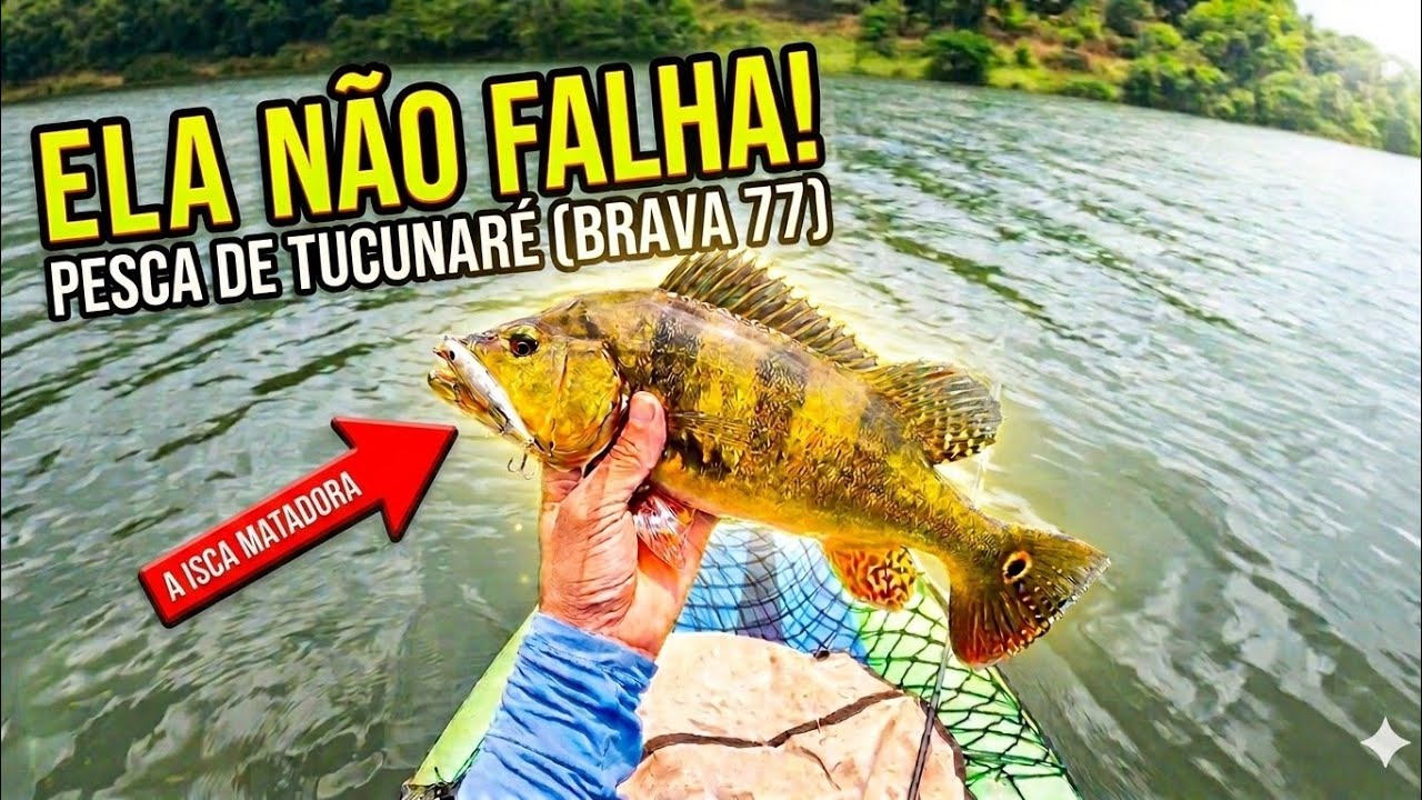 BRAVA 77: A ISCA QUE NÃO FALHA COM OS TUCUNARÉ 