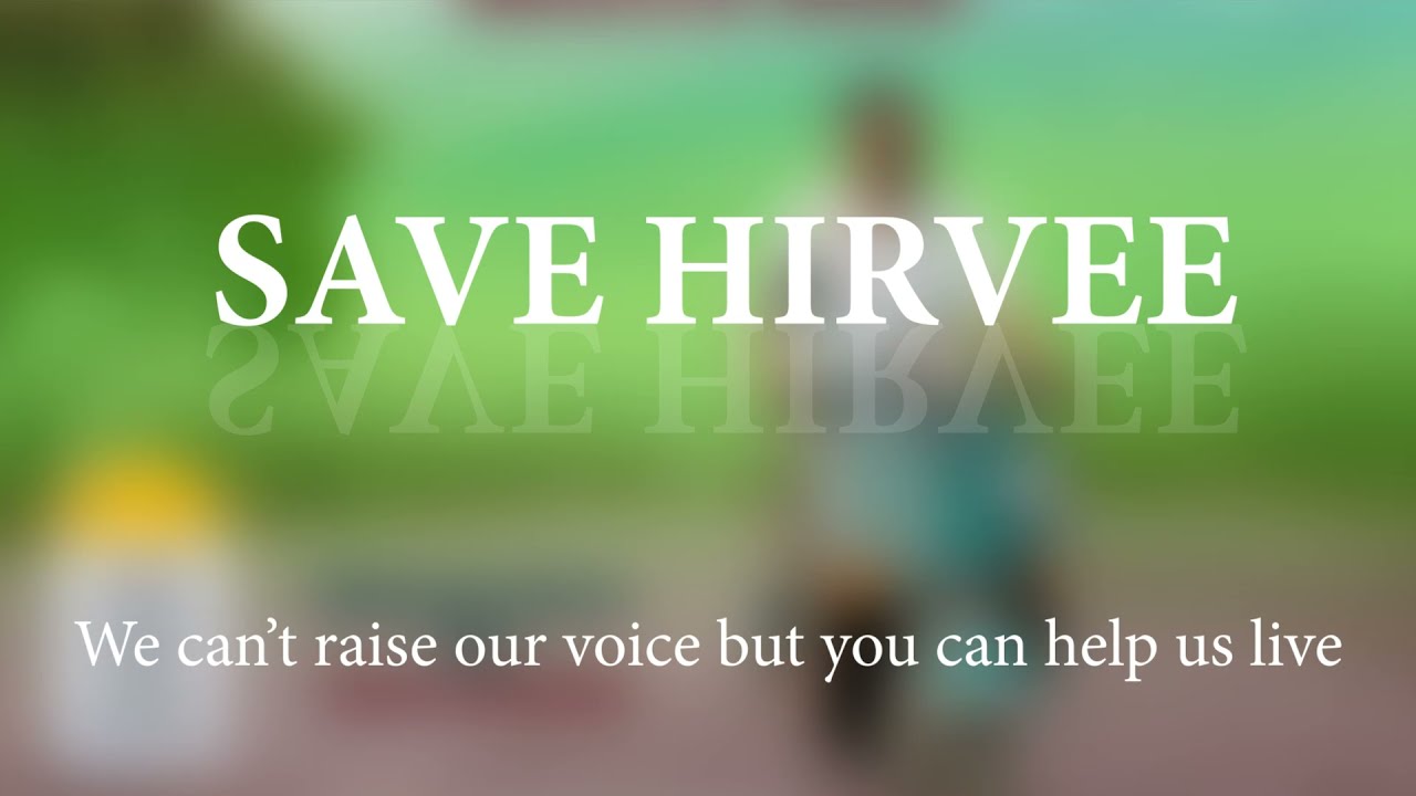 Save Hirvee