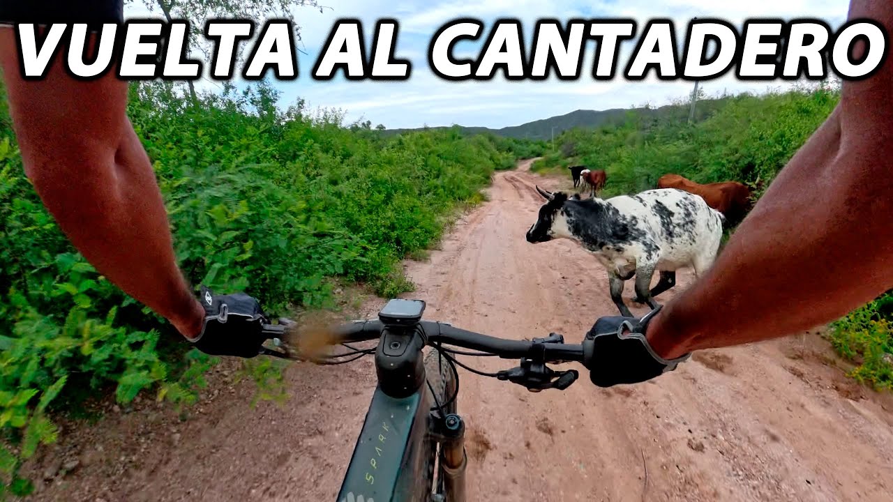 VUELTA AL CANTADERO 2025 - LA RIOJA