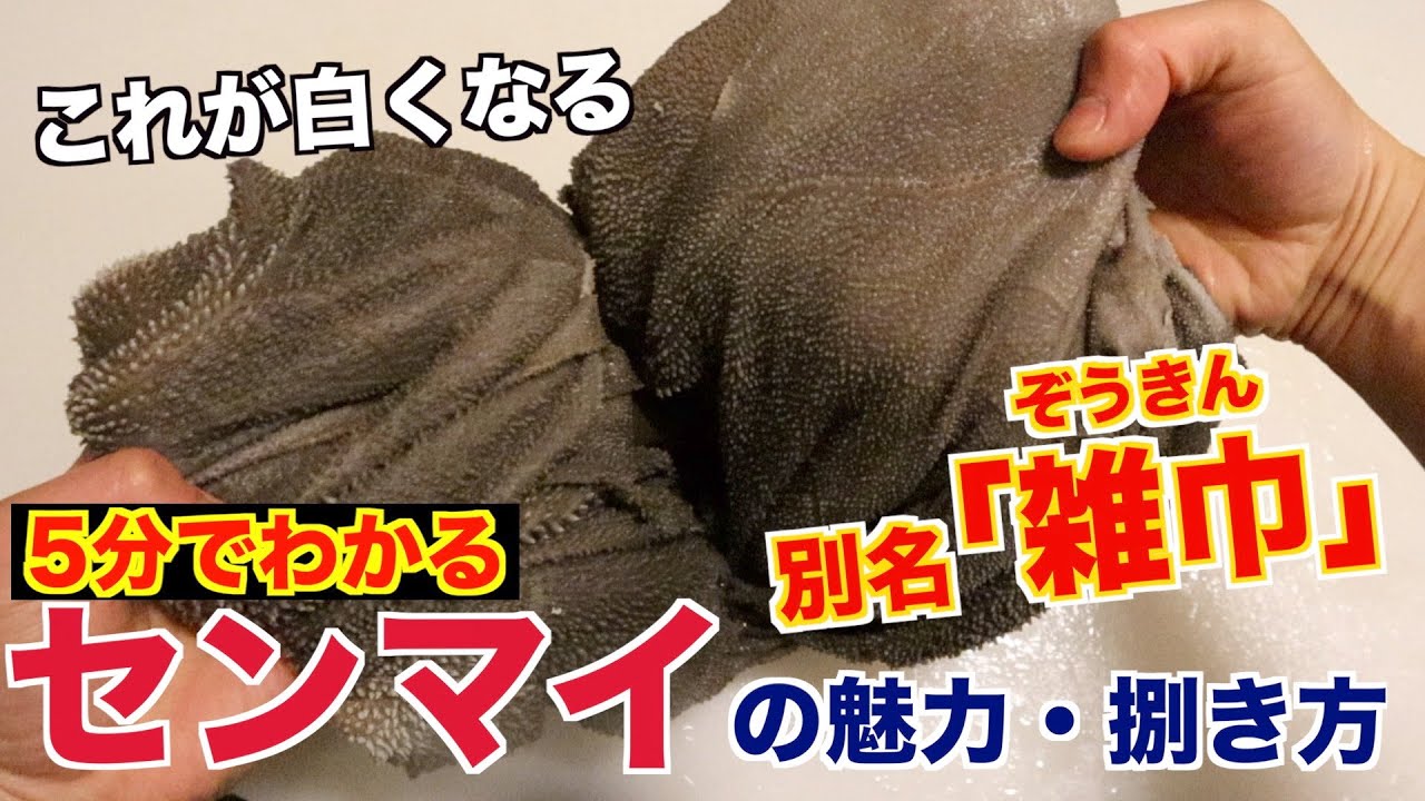 【白くなる?!】センマイの魅力と捌き方