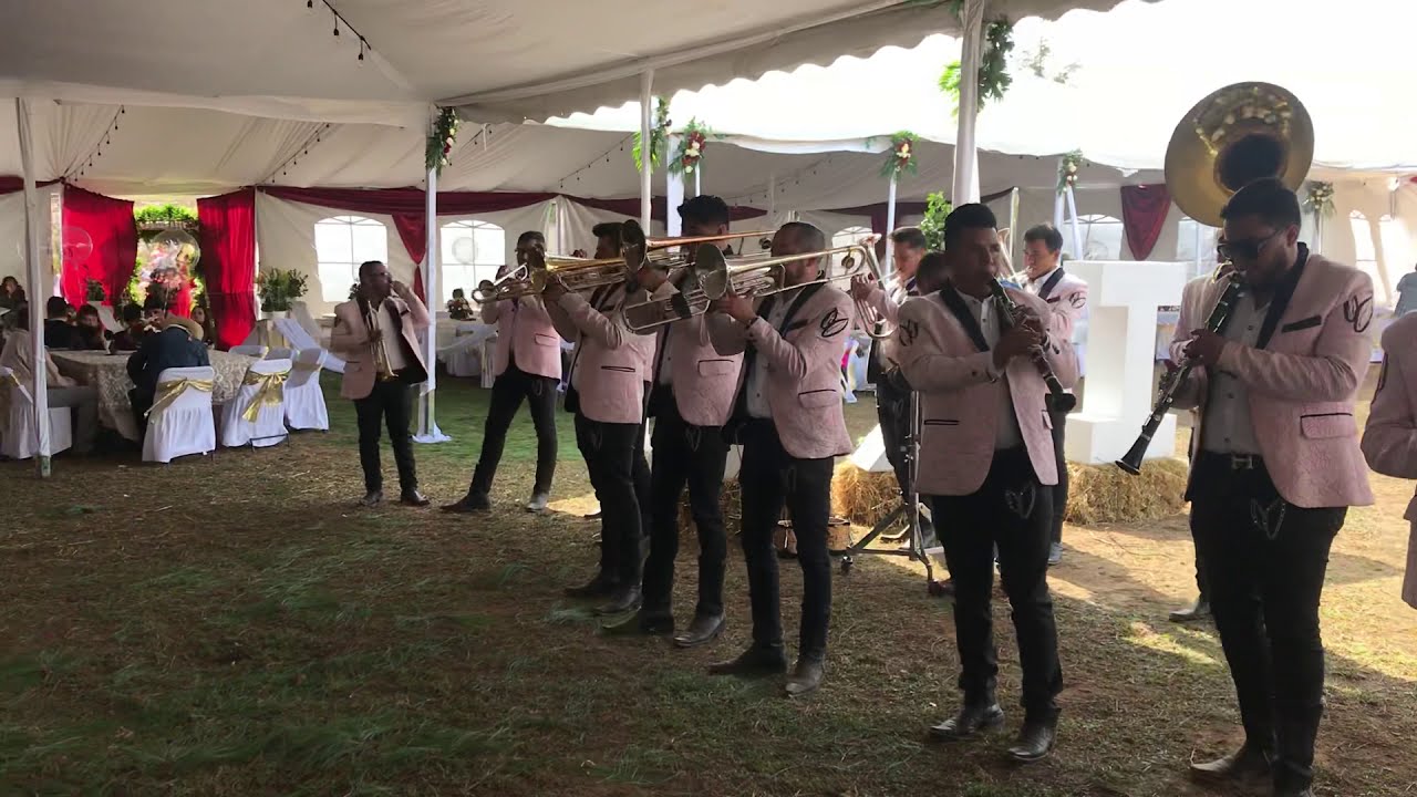 El olotito con la Banda Monarca