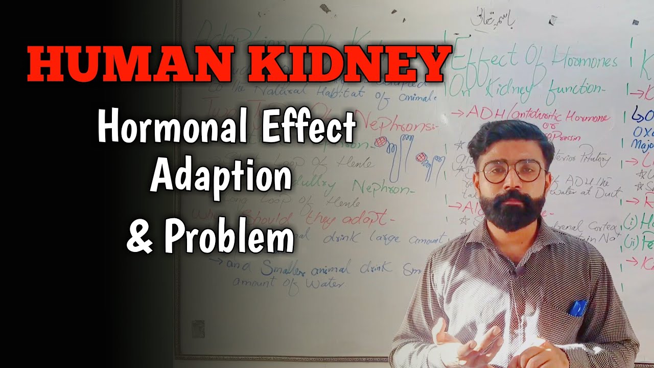 HUMAN KIDNEY || Adaption &  Hormonal Effect || Homeostasis || Chapter-01|| XII-Zoology-Urdu/Hindi
