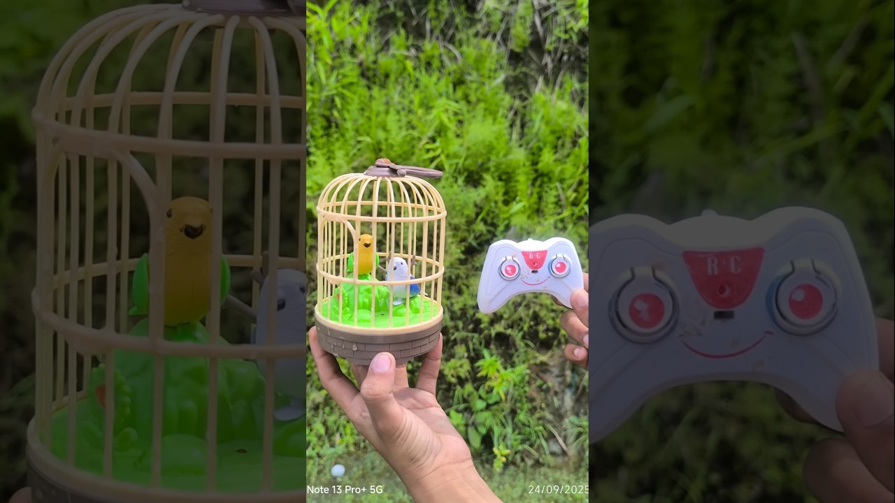 🚀 Unboxing RC Bird Cage Toy 🕊️ | Amazing Singing Bird Toy 🎁& tasting 🔥