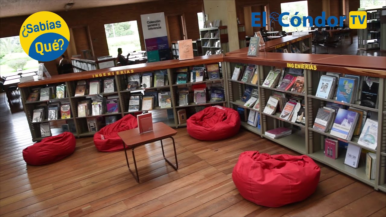 cap&iacute;tulo 41: Biblioteca Virgilio Barco