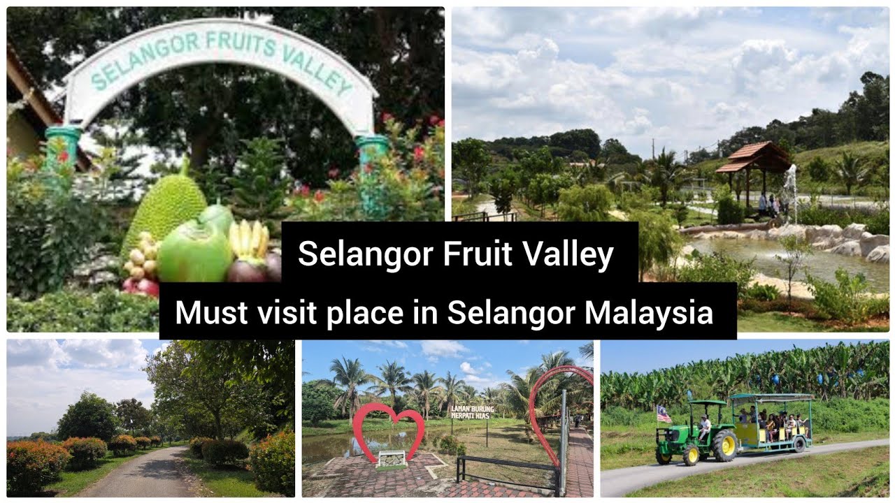 Selangor Fruit Valley | A day trip in trem to fruit valley | Must visit place in Selangor Malaysia