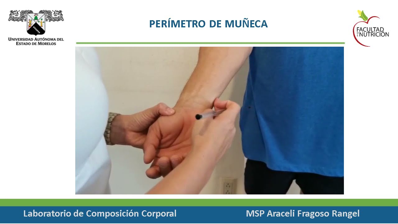 Perímetro de muñeca