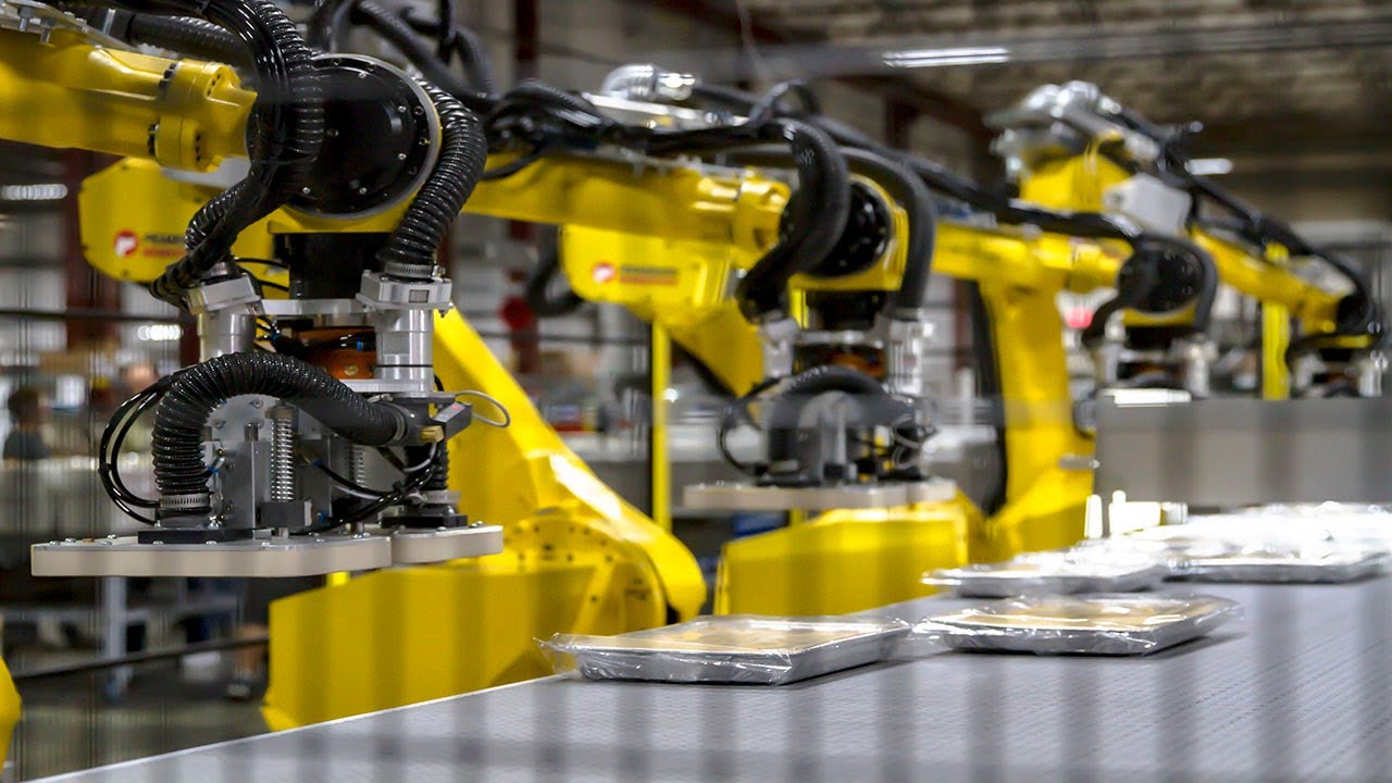 Robotic Case Packer - Frozen Bread Rolls