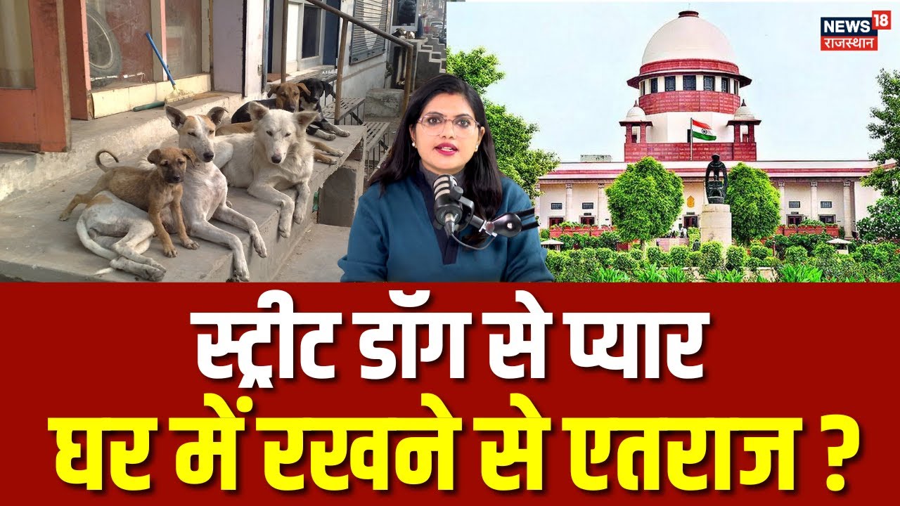 Supreme Court On Street Dog: सुप्रीम कोर्ट ने आवारा कुत्तों को खाना खिलाने वालों पर बड़ा बयान! |N18P