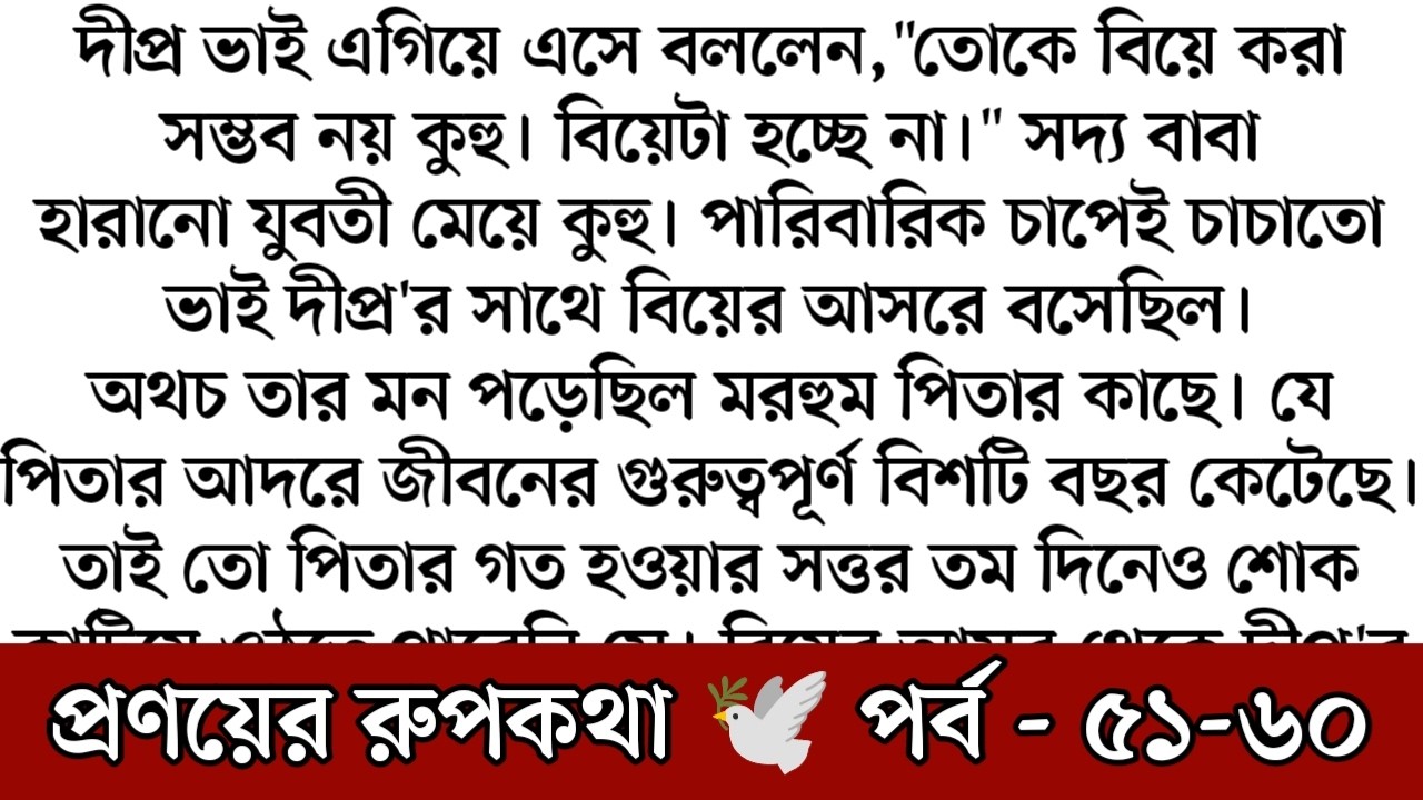 প্রণয়ের রূপকথা । পর্ব ৫১ - ৬০। বাড়িতে আজ সবাই উপস্থিত। সবাই মানে সবাই। রাত পোহালেই আয়ানার জন্মদিন।