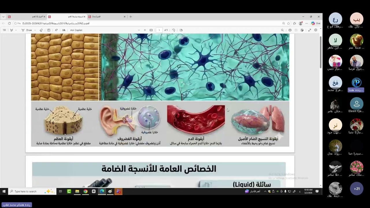 الانسجة الضامة