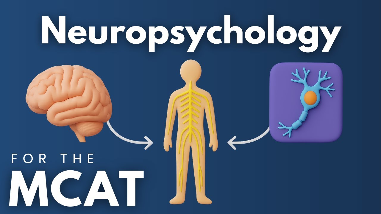 MCAT Neuropsychology Explained in 3 Minutes