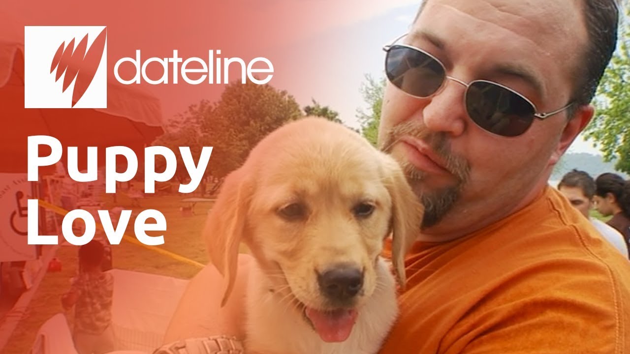 Using service dogs to help war veterans with PTSD