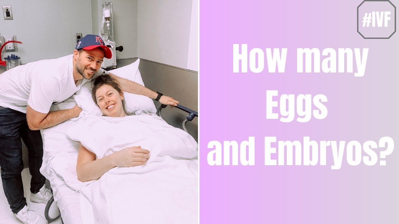 How Many Embyros? | IVF
