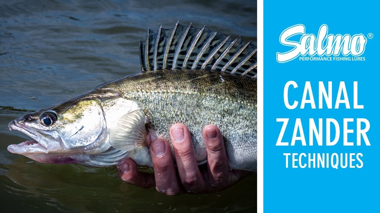 ***SALMO UK*** CANAL ZANDER TECHNIQUES