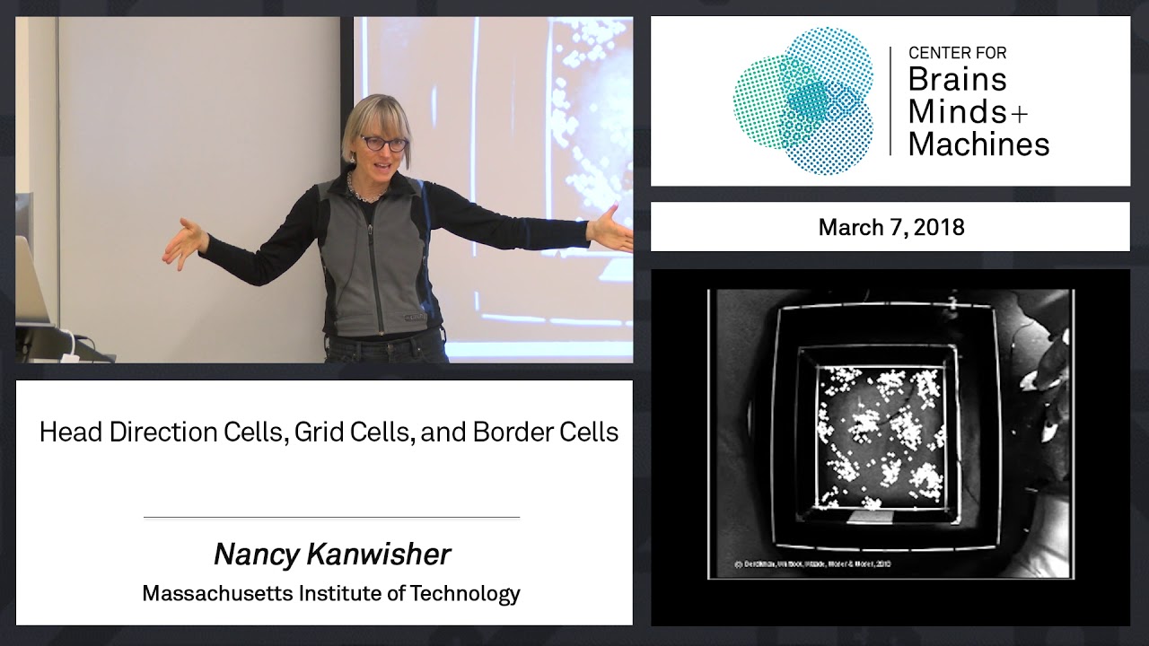 6.4 - Head Direction Cells, Grid Cells, and Border Cells