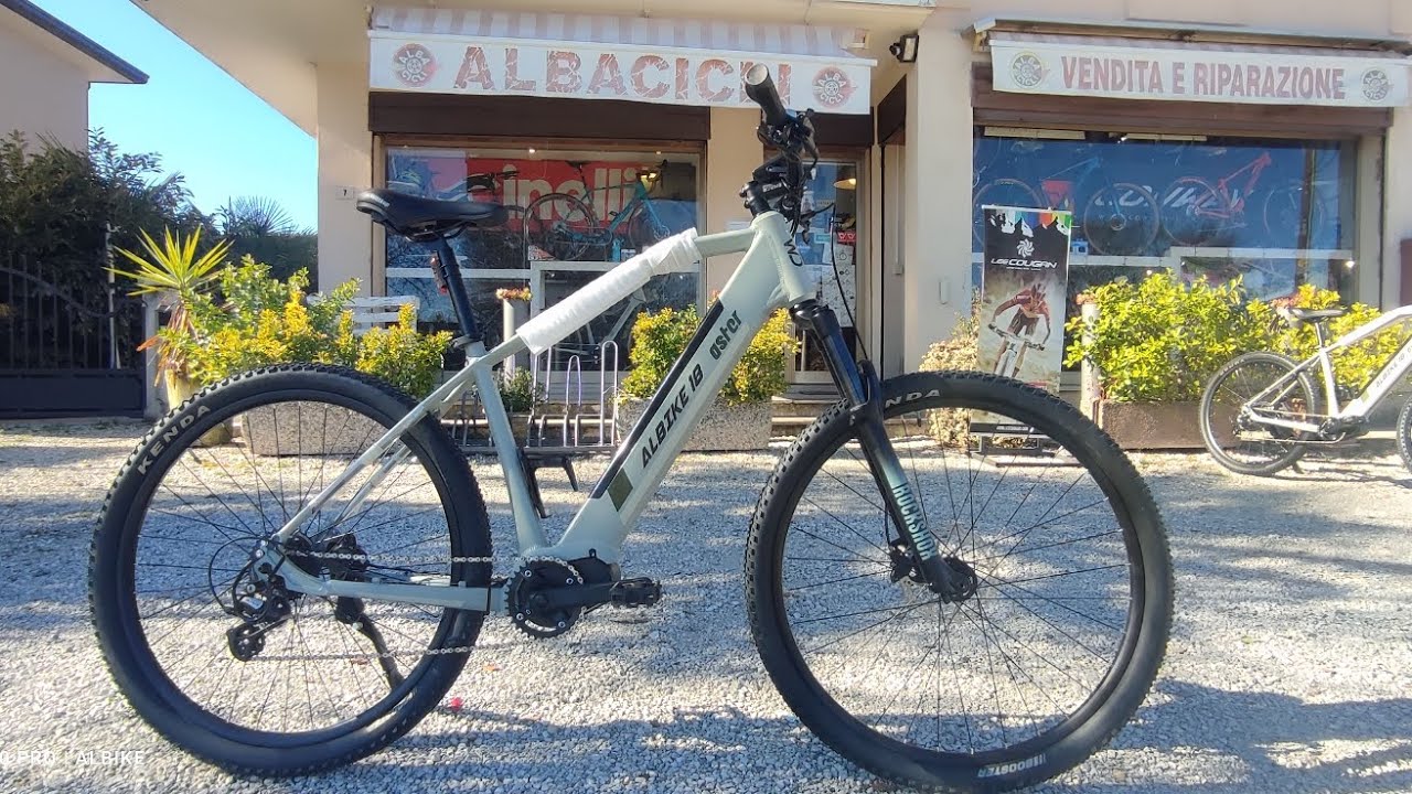 Ebike ALBIKE WD.