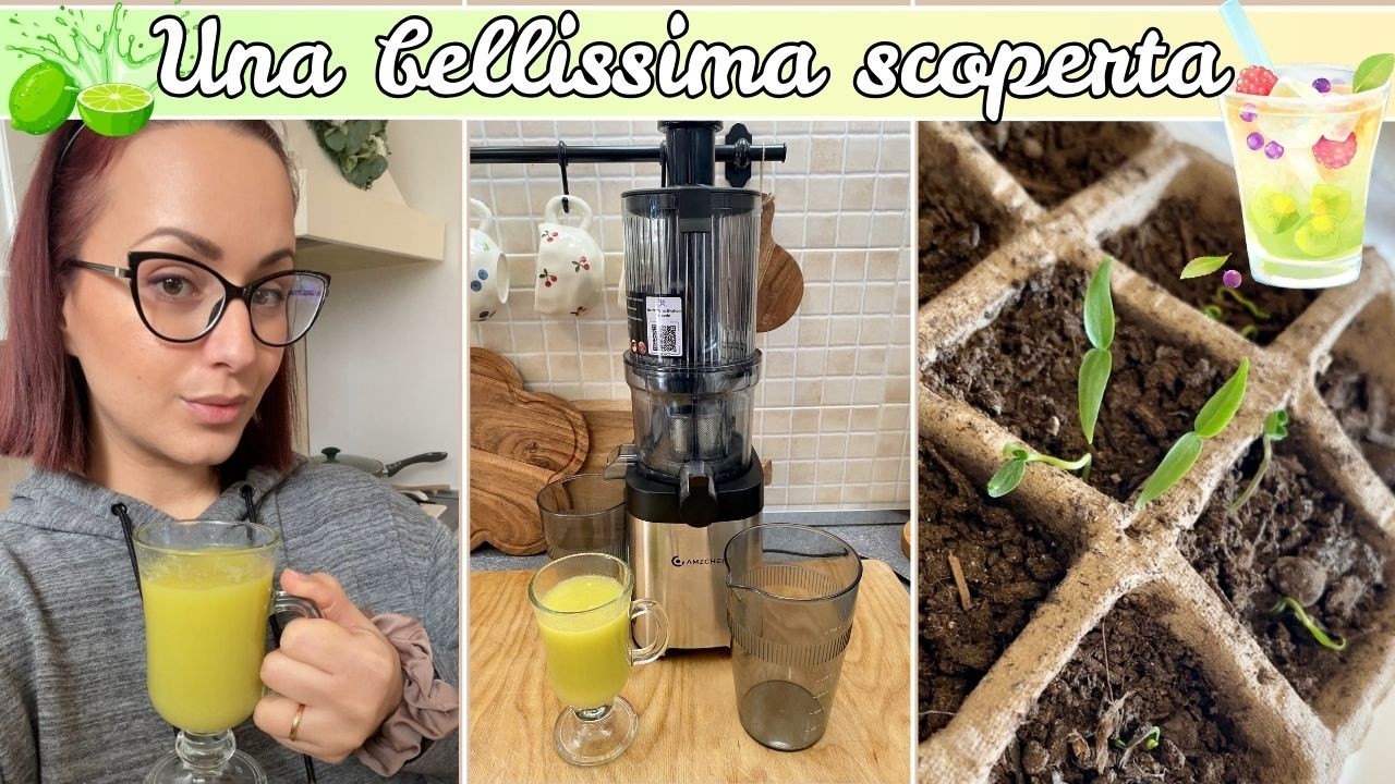 ✨🌱 UNA BELLISSIMA SCOPERTA! 🌱✨ | ESTRATTORE DI SUCCO AMZCHEF 120MM - Eleonora Home