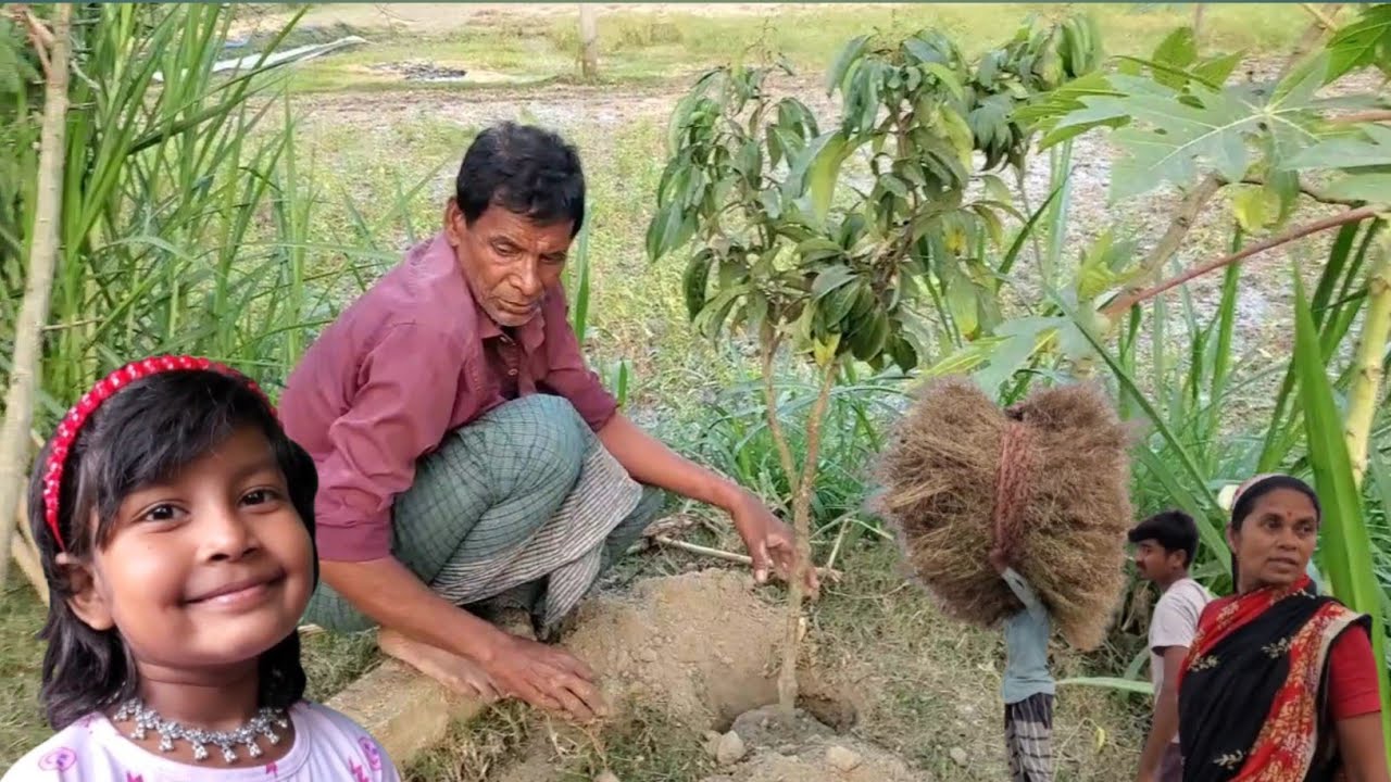 বাবা আজ আবার পুকুর পারে কি গাছ রোপণ করলো/বেশি করে গাছ লাগান পরিবেশ বাঁচান।Village Vloger Nopur.