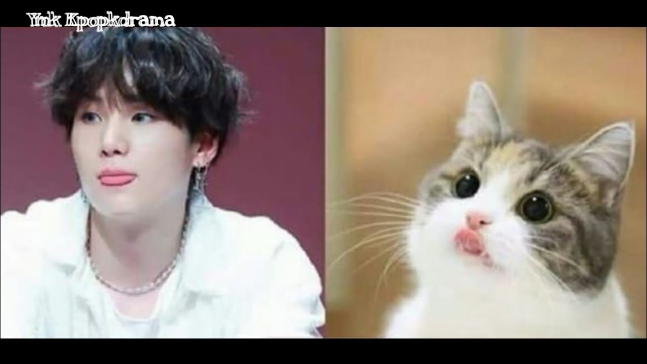 BTS Suga change as cutest Lil meow meow Min yoongi