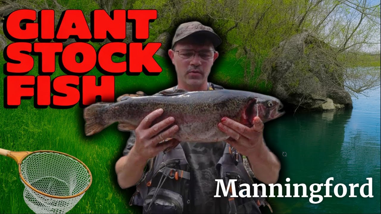Want Big Trout? Manningford Trout Fishery Is a UK Fly Fishing Paradise!
