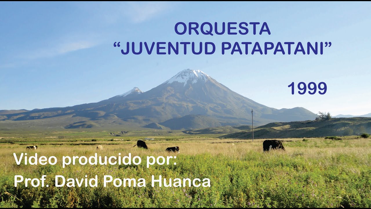 Orquesta tradicional 