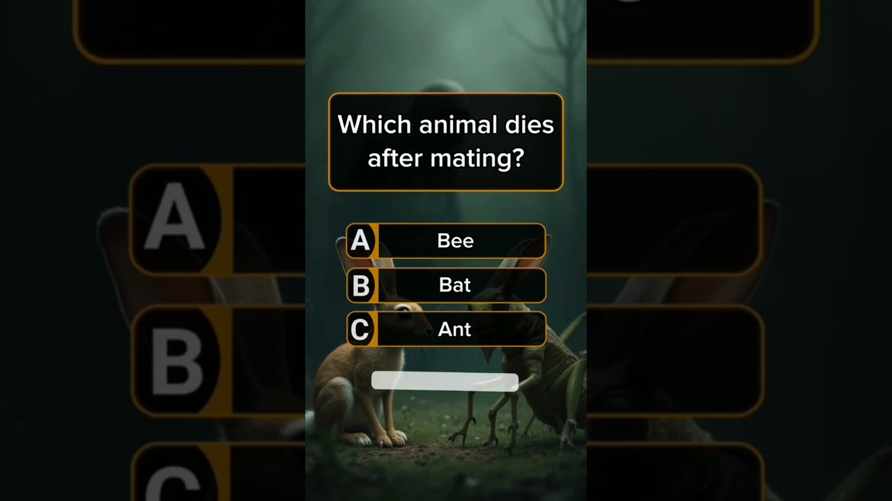 General Knowledge Quiz #shortsfeed #ytshorts #shortsbeta #quiz #youtubeshorts #generalknowledge