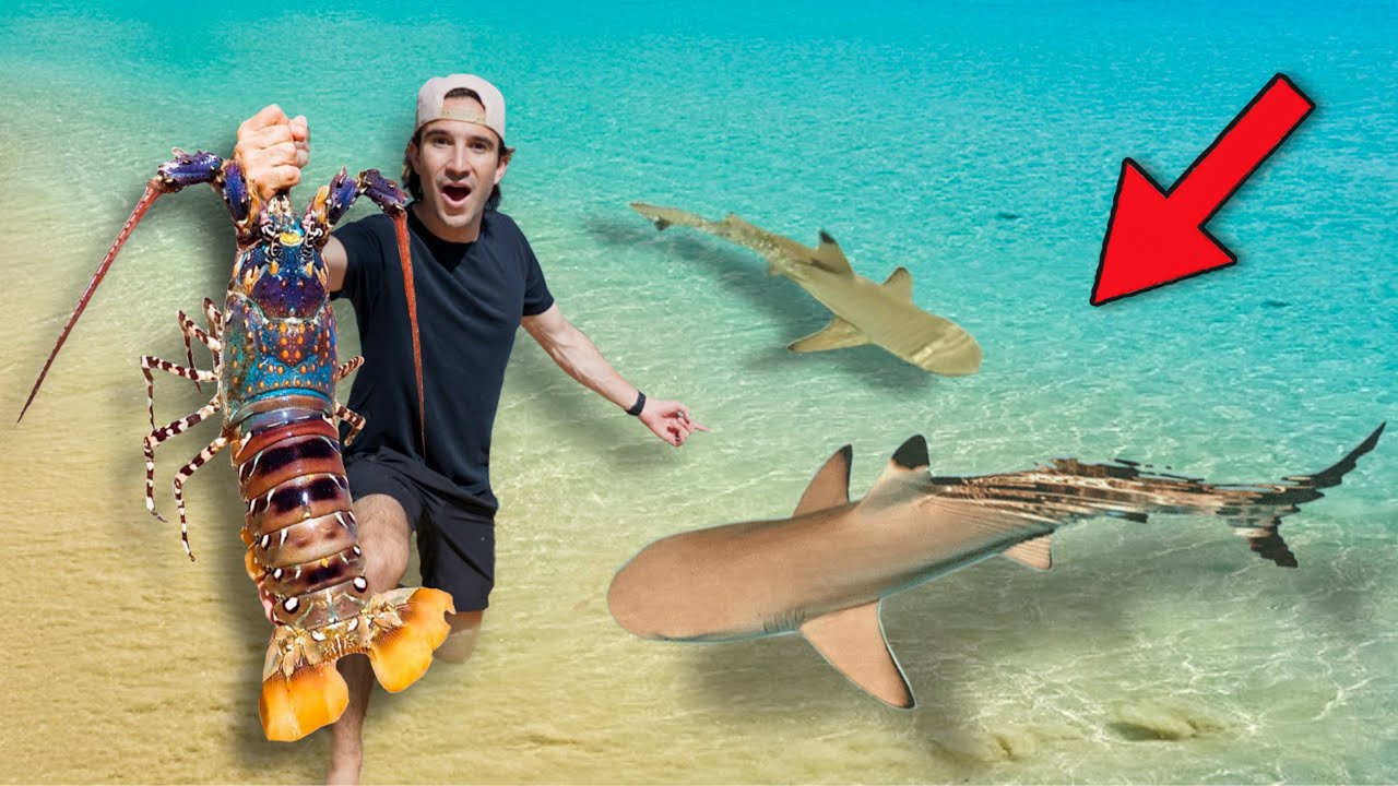 I Found RARE Sea Creatures Under Beach Rocks!