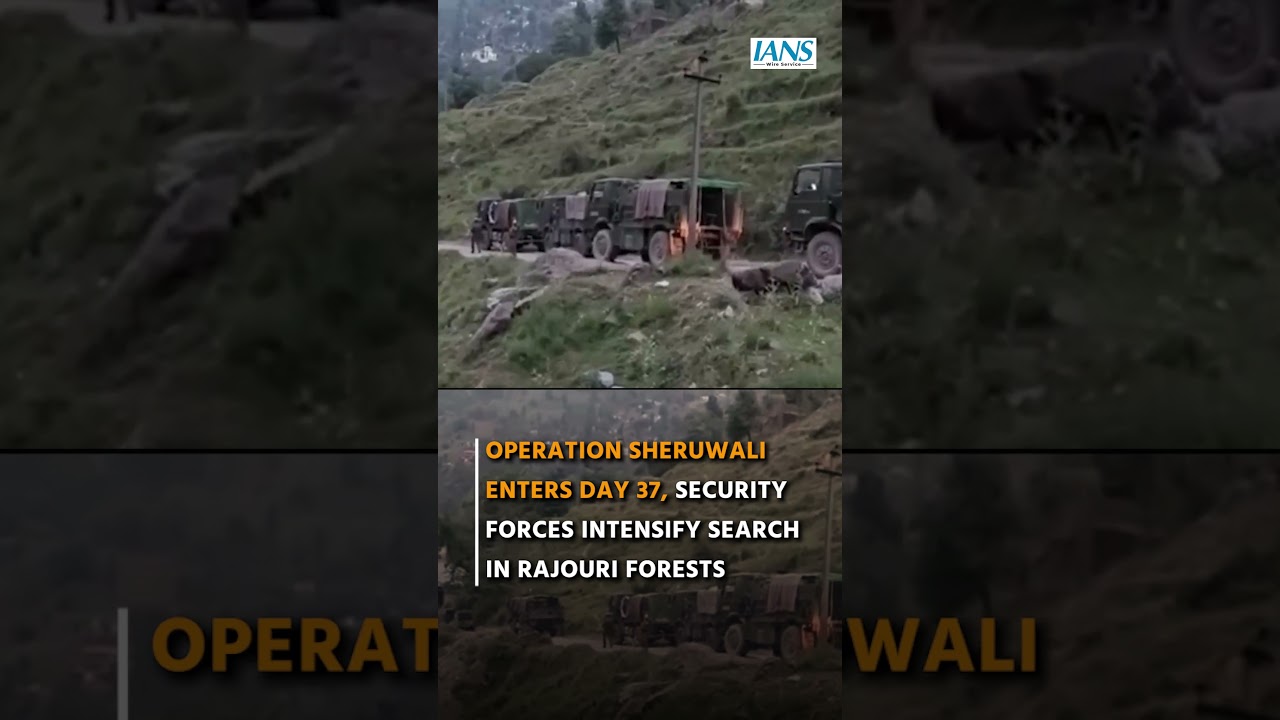 Operation Sheruwali Enters Day 37 | Security Forces Intensify Search in Rajouri Forests