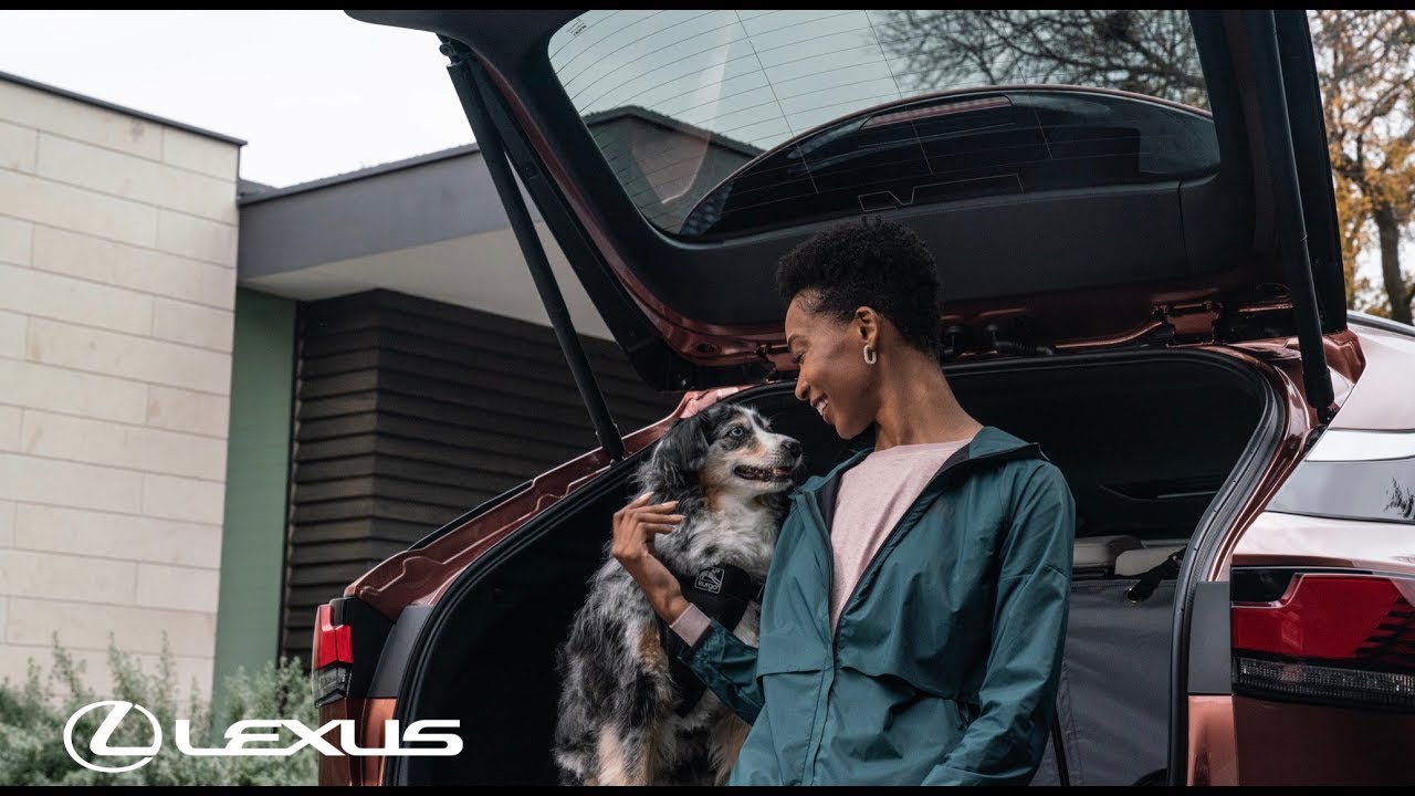 Kurgo Accessories | Lexus