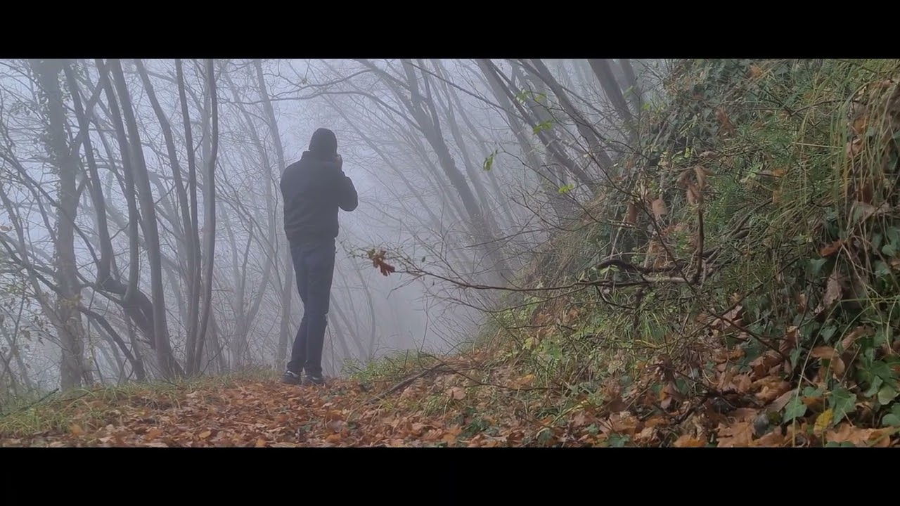 Memories of Fog (Samsung Galaxy S20 Ultra Cinematic Clips)