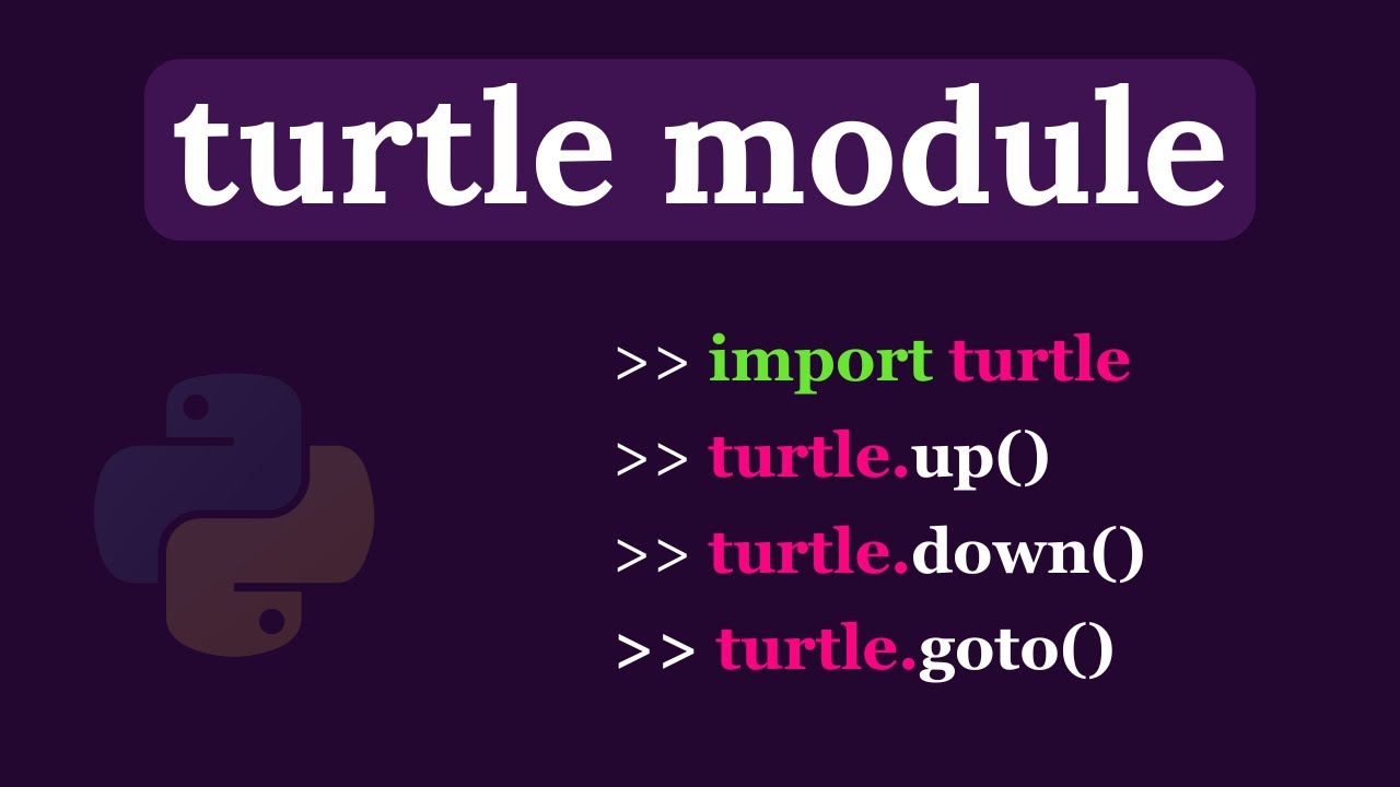 Графика Python Turtle — метод goto | Метод «вверх и вниз» | Рисование фигур в любом положении