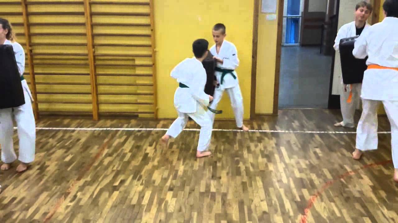 Akademia Okinawa Karate Marcin Frelich Lublin