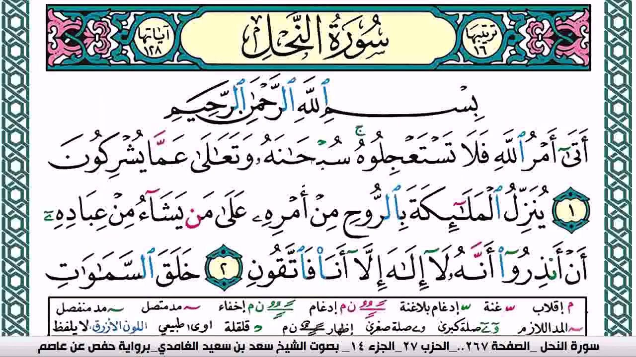 مصحف سعد الغامدي فيديو مصور مكتوب مقسم صفحات صفحة رقم 267
