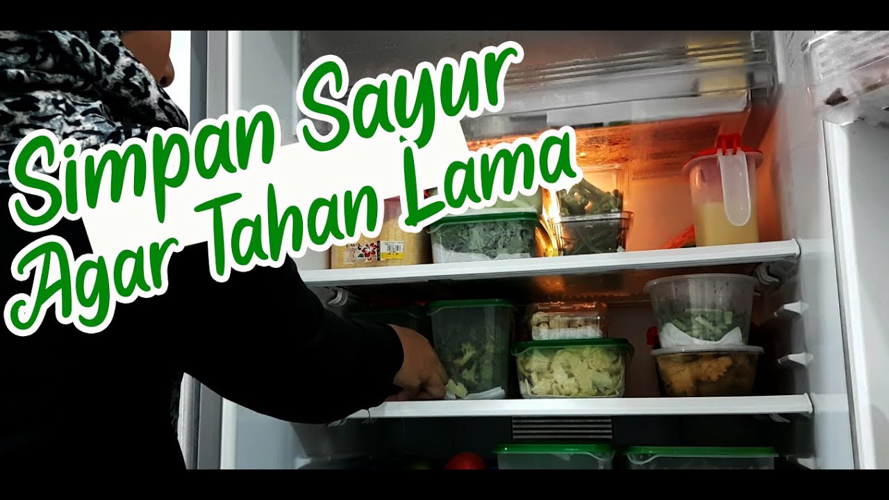 CARA SIMPAN SAYUR AGAR KEKAL SEGAR UNTUK PETI AIS KECIL | Urus Dapur & Jimat Masa | Grocery Storage