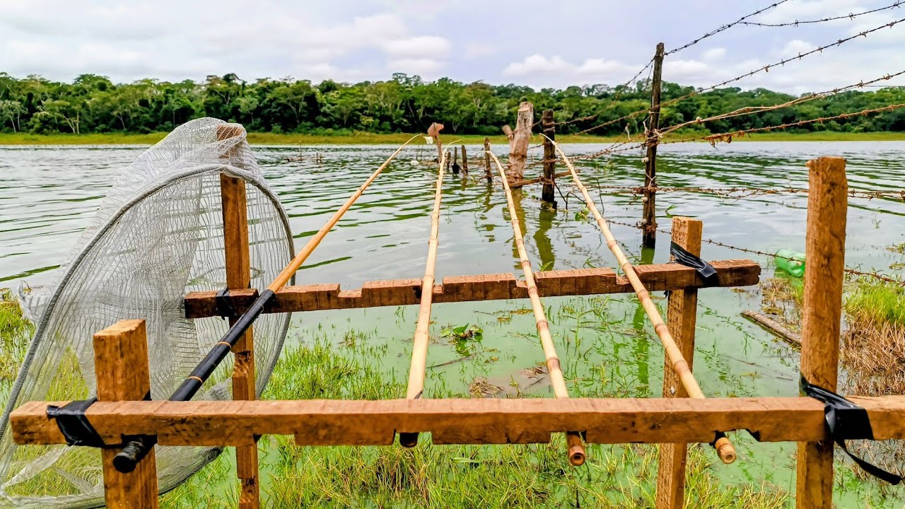 ESSE PEIXE TOMOU CONTA DO RIO GRANDE !!! Pescaria raíz  RIOLÂNDIA SP..