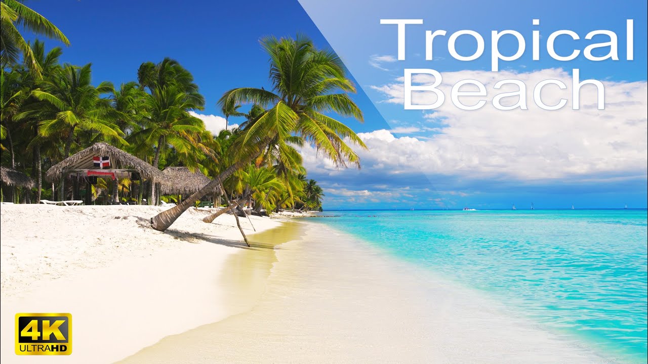 🌴 Tropical beach relaxation video - Relaxing Sounds Calm Ocean Waves & Singing Birds - caribbean sea