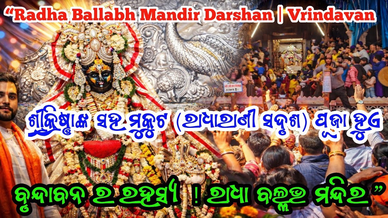 Radha Ballabh Mandir | Vrindavan | ଯେଉଁଠି ଶ୍ରୀକ୍ରିଷ୍ଣା ଙ୍କ ସହିତ ମୁକୁଟ କୁ ରାଧାରାଣୀ ସଦୃଶ ପୂଜା କରାଯାଏ 