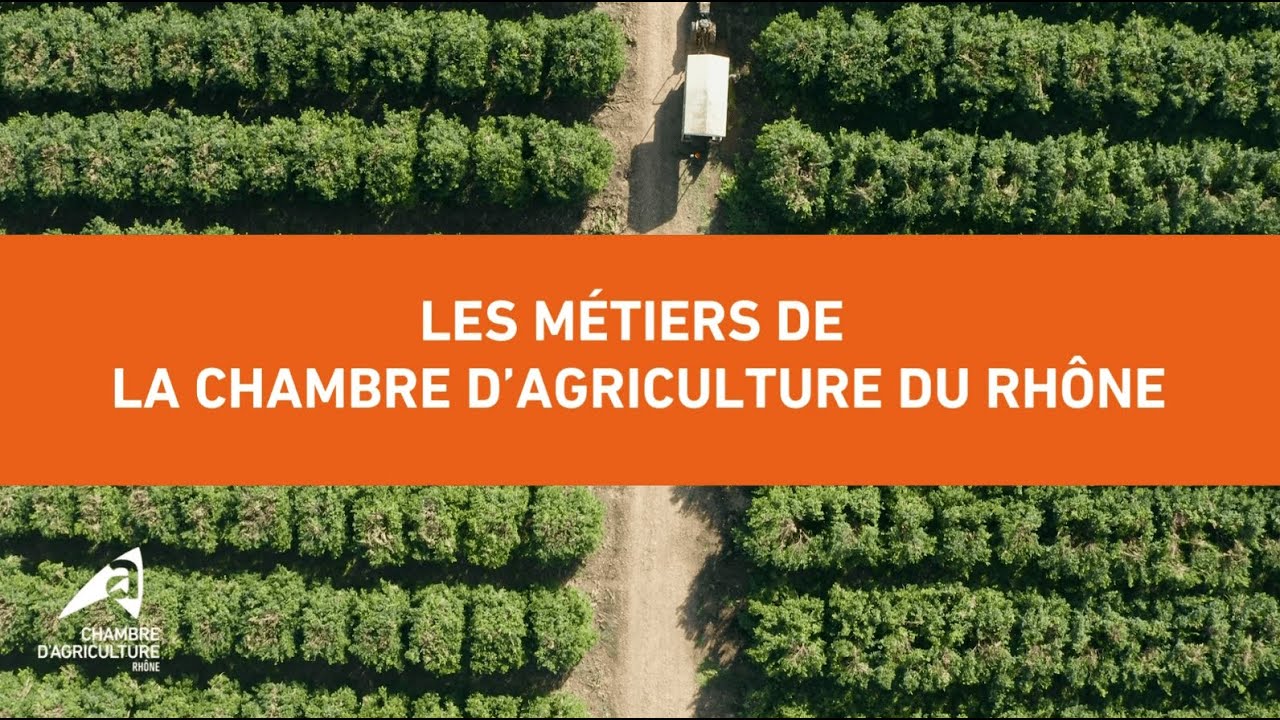 Zoom sur les métiers de la Chambre d'agriculture : Équipe arboriculture / maraîchage