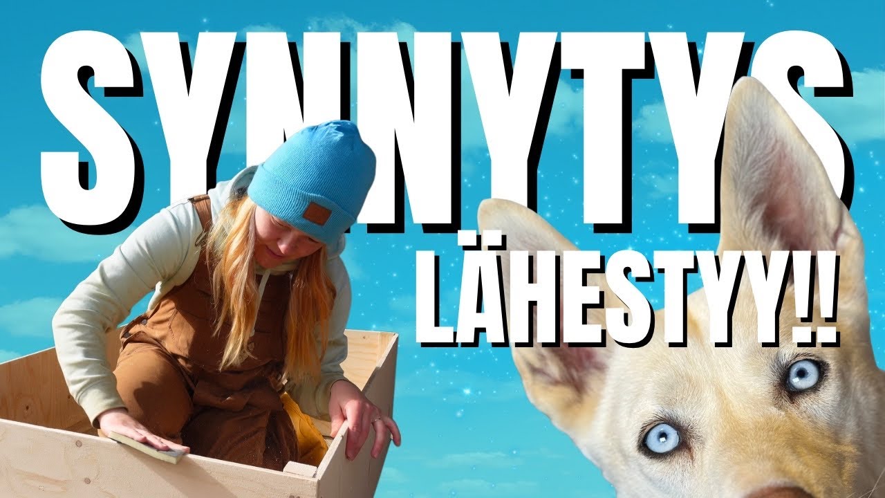 TIINEYSRÖNTGEN | montako pentua syntyy?!